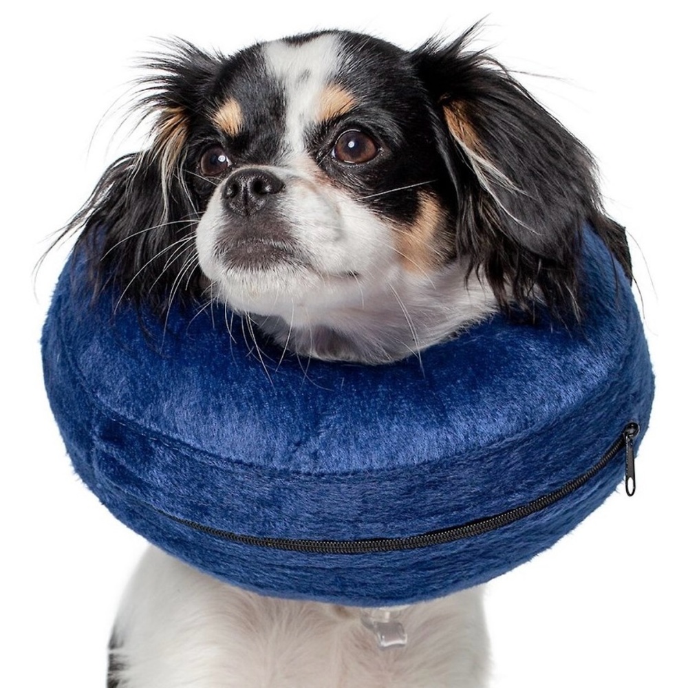 Inflatable Recovery Collar for Dog/Cat Size Extra Small Blue